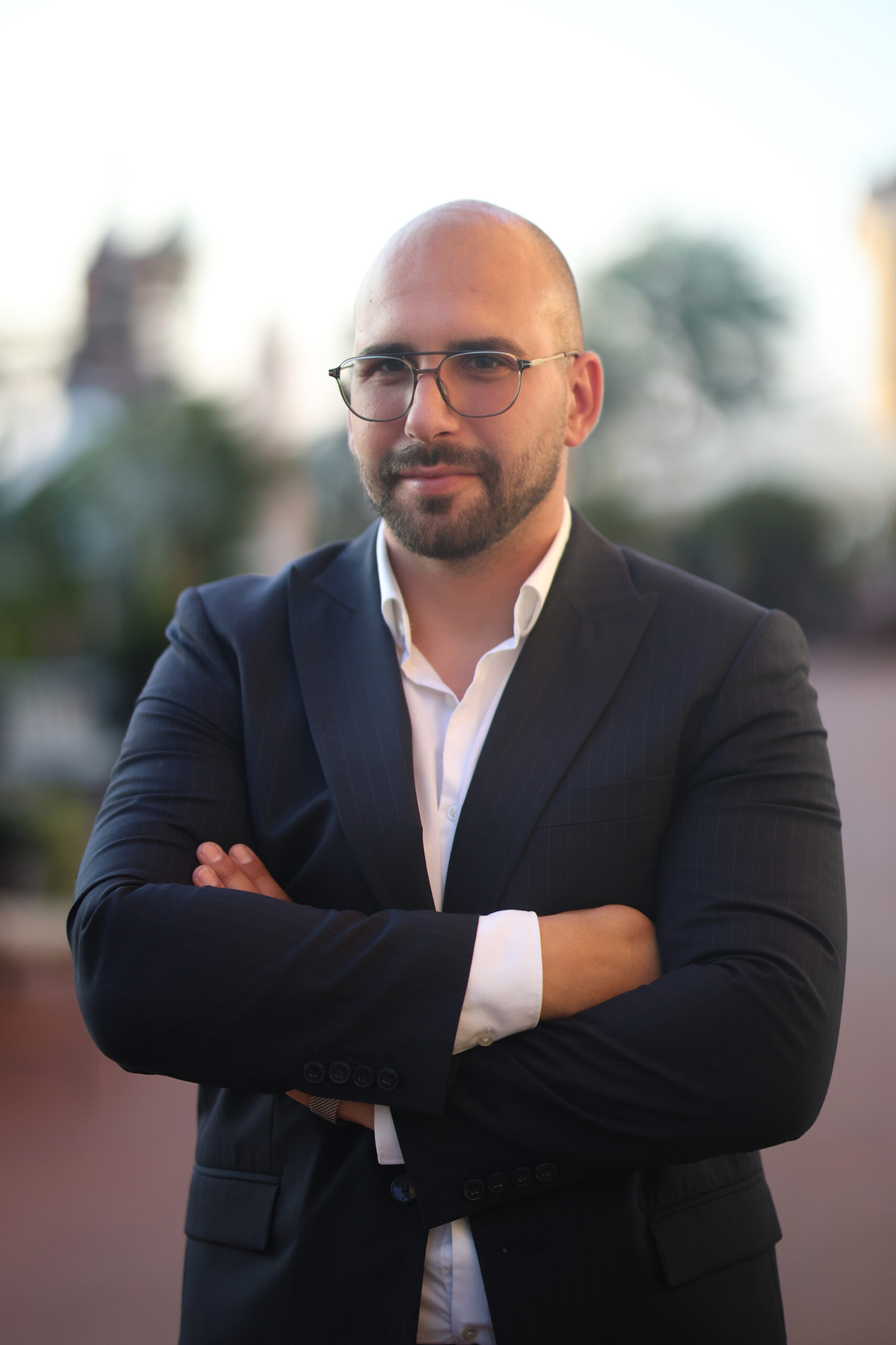 Aleksa Mitrović vlasnik